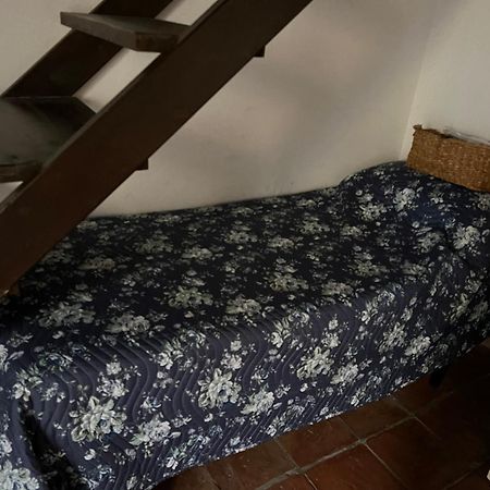 La Limonaia Di Chiaia Διαμέρισμα Νάπολη Εξωτερικό φωτογραφία