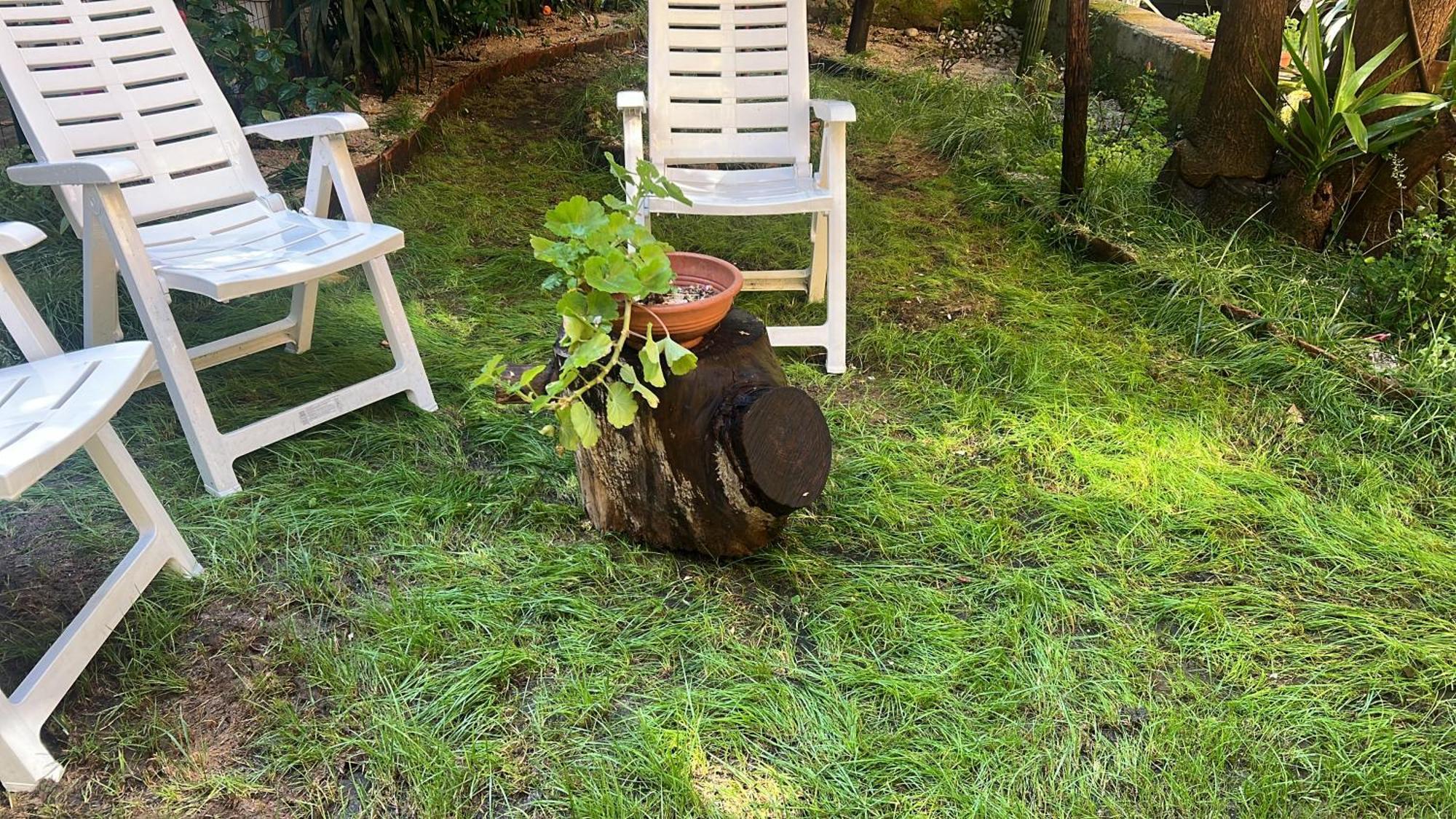 La Limonaia Di Chiaia Διαμέρισμα Νάπολη Εξωτερικό φωτογραφία